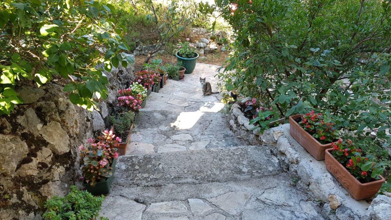 Apartment Gal Podgora Exterior foto